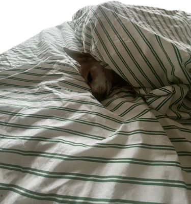 Take a nap