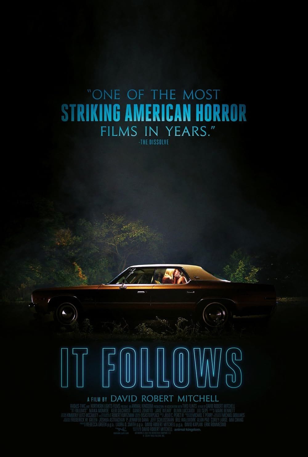 it follows (2014)