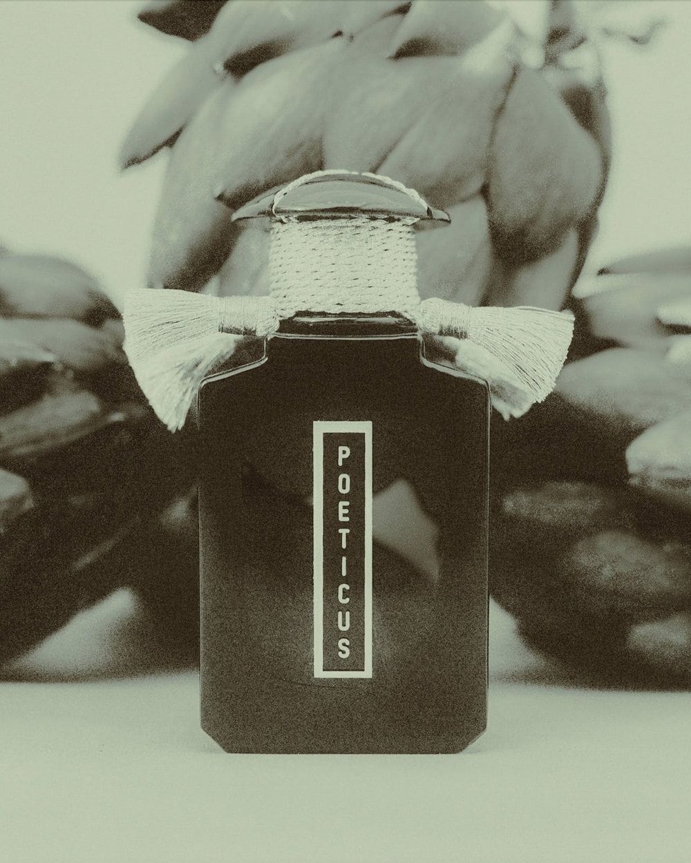 The Poeticus Scent