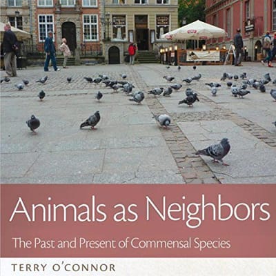 Animals as Neighbors: An Ecofeminist Ethics of Coexistence