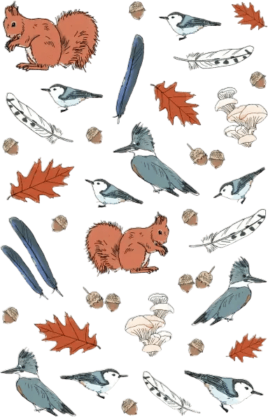 Nature Anatomy Sticker Book by Julia Rothman