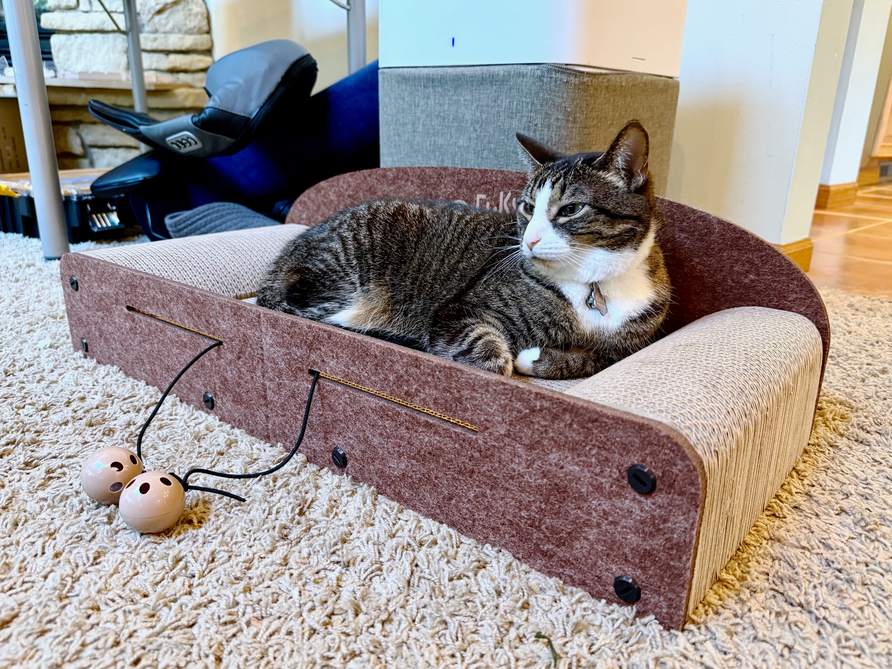 Fukumaru cat scratcher bed