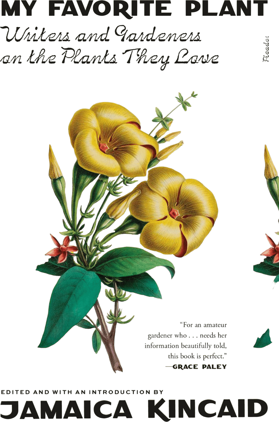 Writers & Gardeners on the Plants They Love