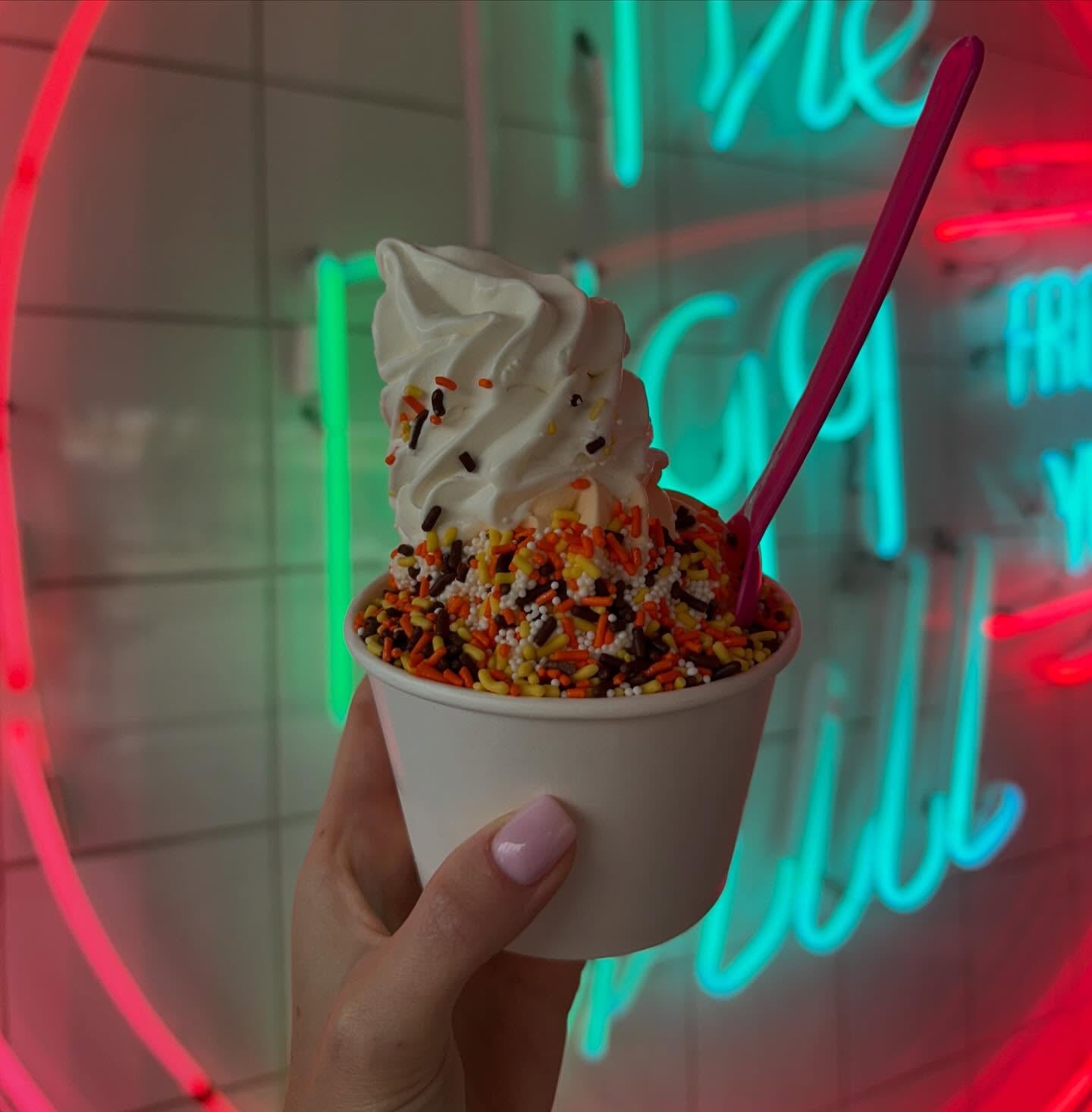 The Bigg Chill Frozen Yogurt