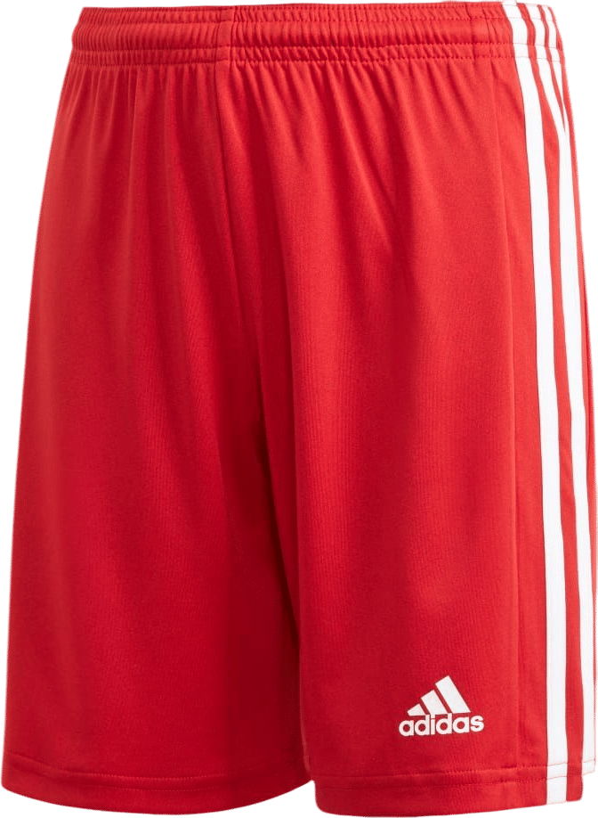 Adidas Squadra 21 Shorts
