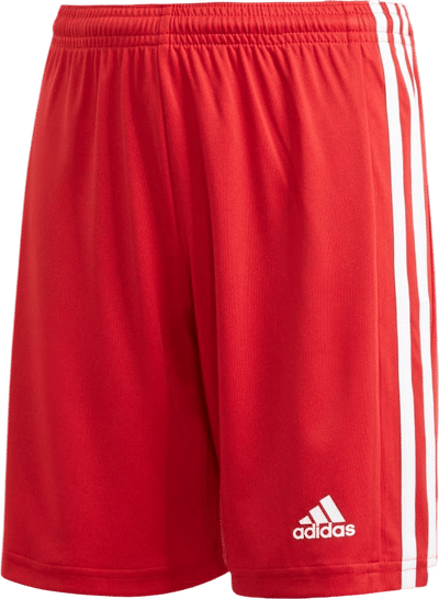 Squadra 21 Shorts