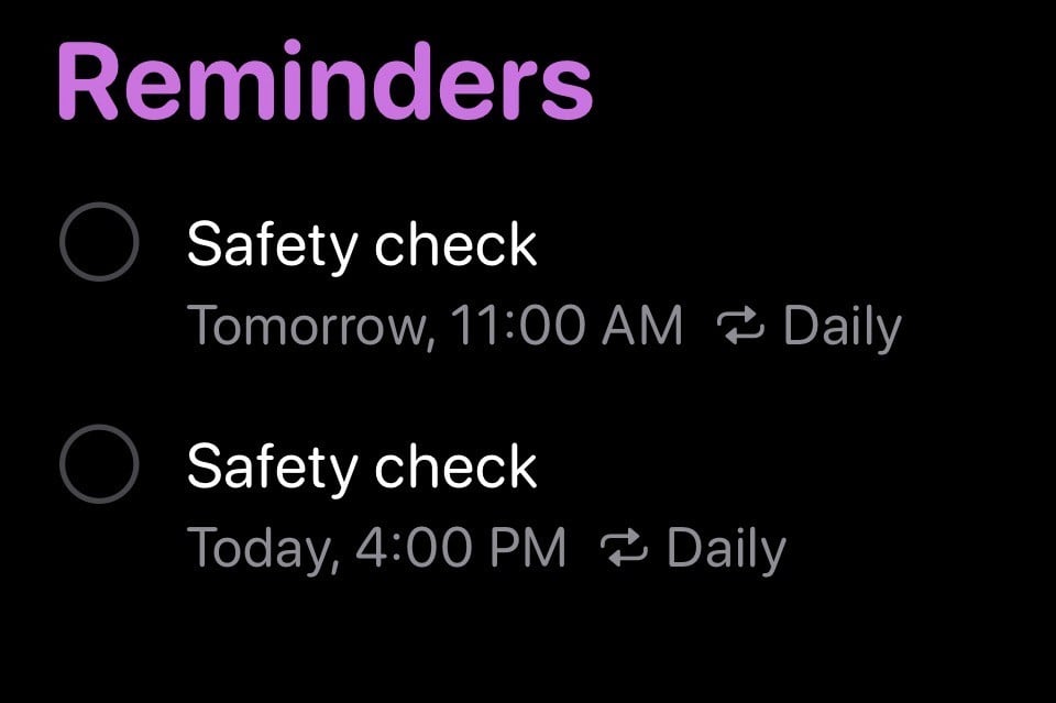 Safety Checks