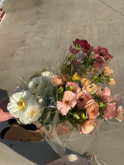 Butterfly Ranunculus