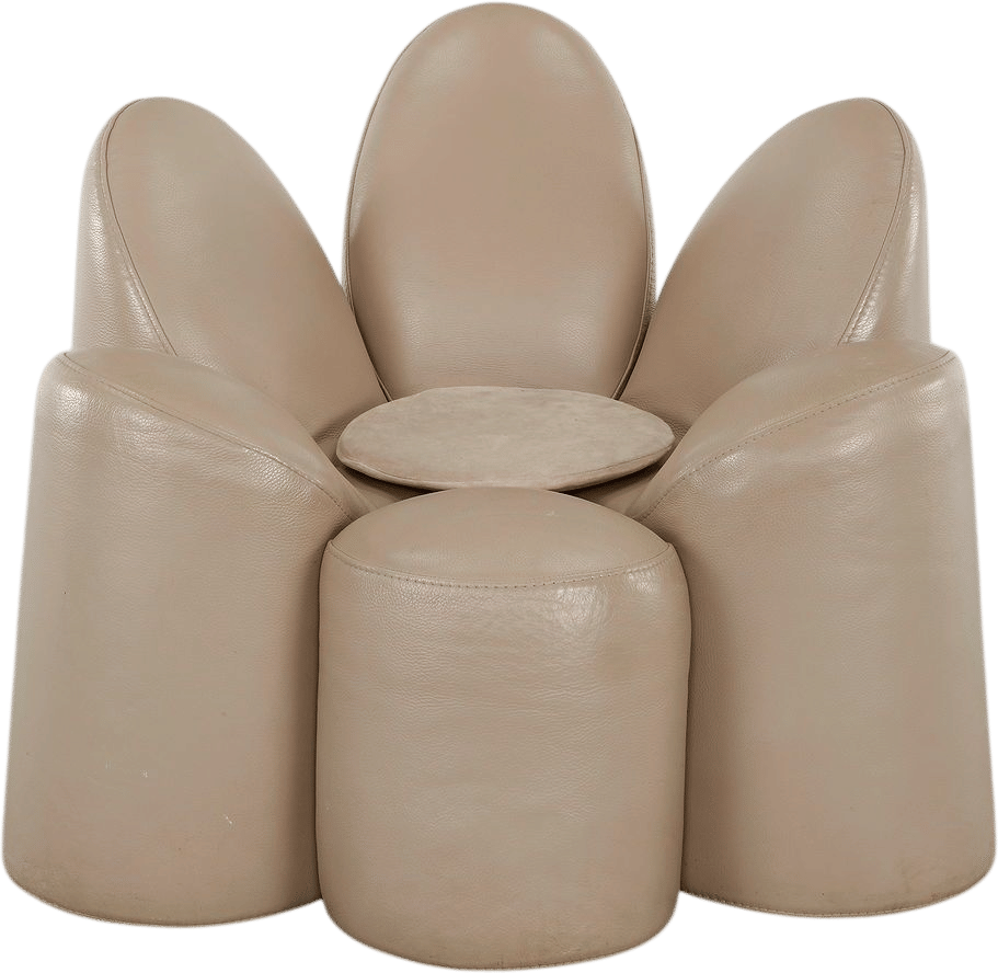 Fabrice Berrux for Roche Bobois, Mayflower Charir