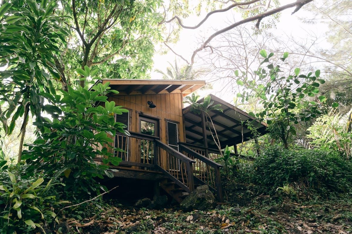 Jungle Haven at Rekindle Farm