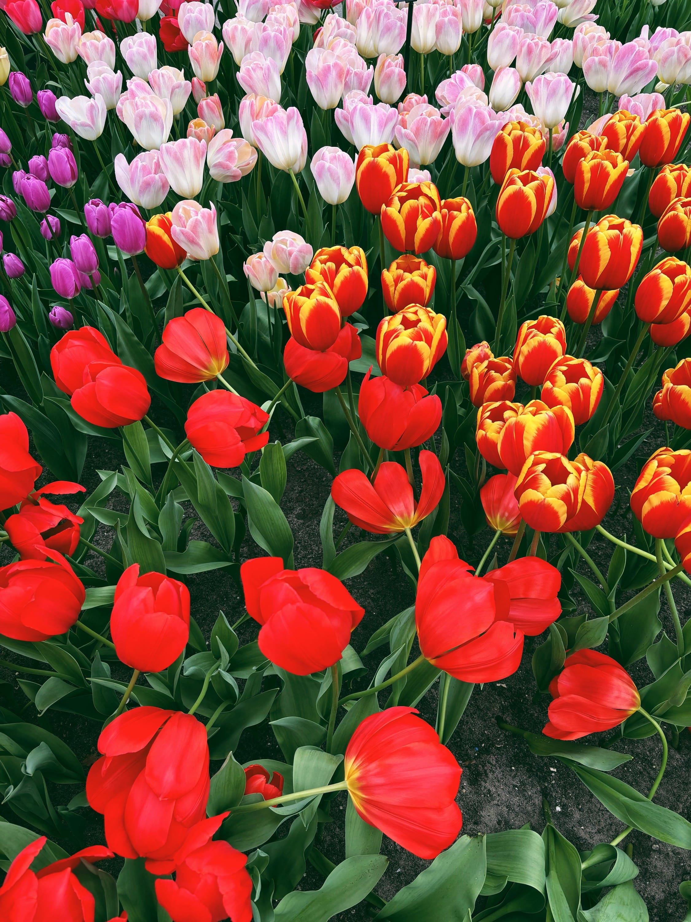 there but for the grace of God go I