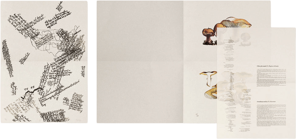 John Cage: A Mycological Foray
