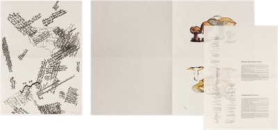 John Cage: A Mycological Foray