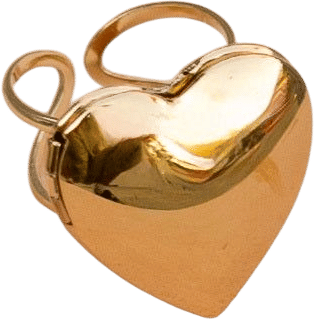 Locket Up Ring