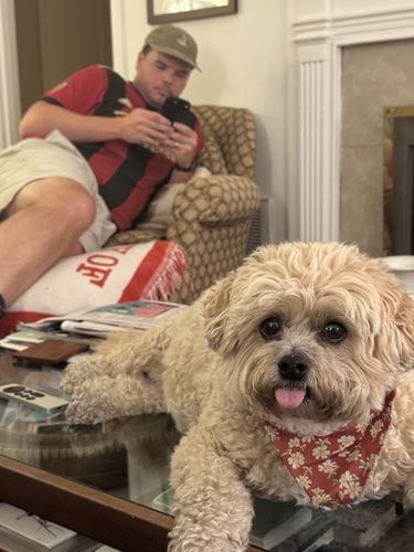 dogs with tongues that don’t stay in their mouths