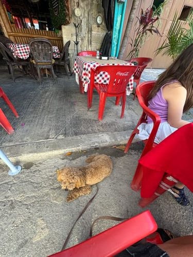 Puerto Morelos