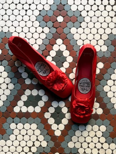 Souliers Dulion Ballet Flats
