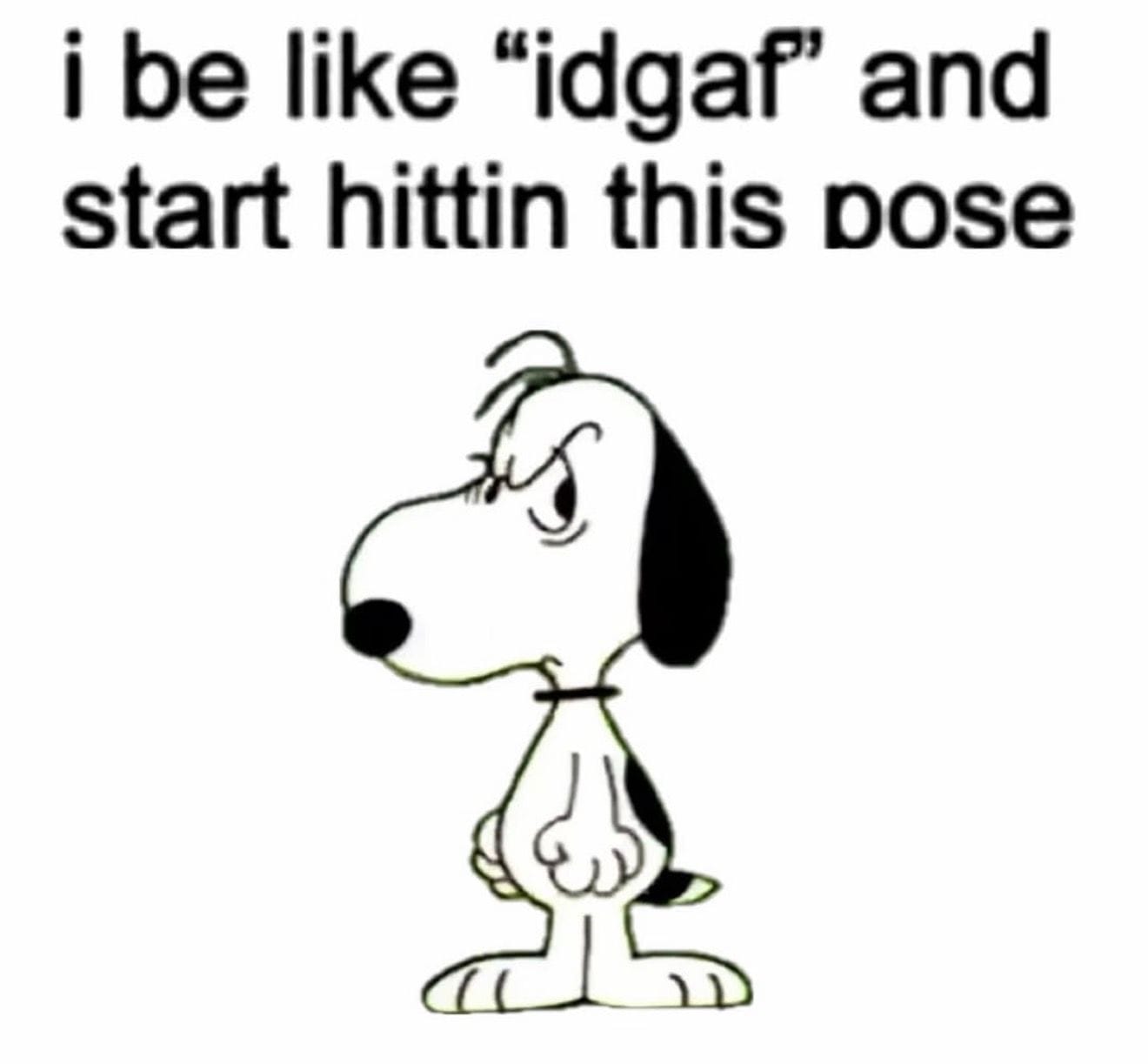 GAF Snoopy