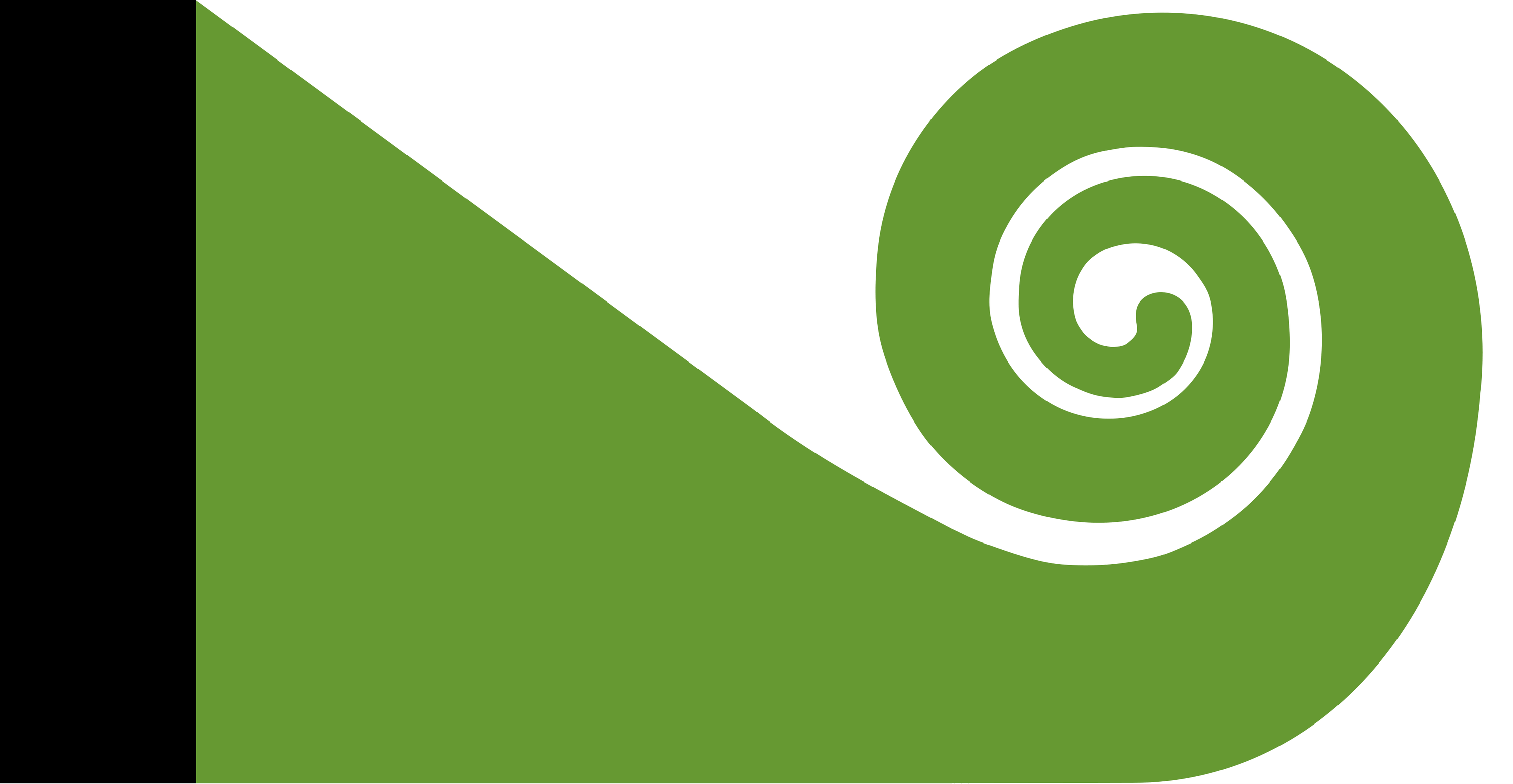 Hundertwasser Koru Flag