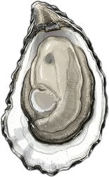 Oyster Tasting Guide