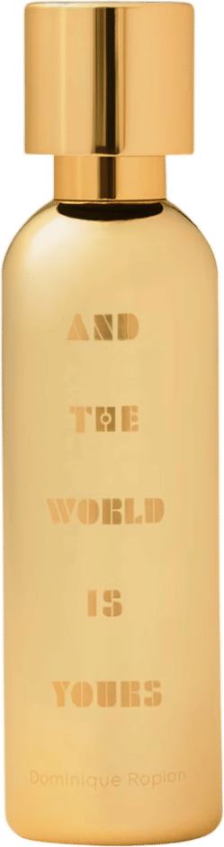 and the world is yours by a lab on fire