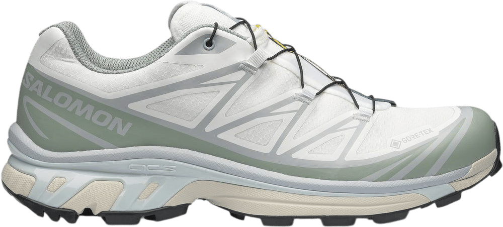 Salomon Hiking Shoes