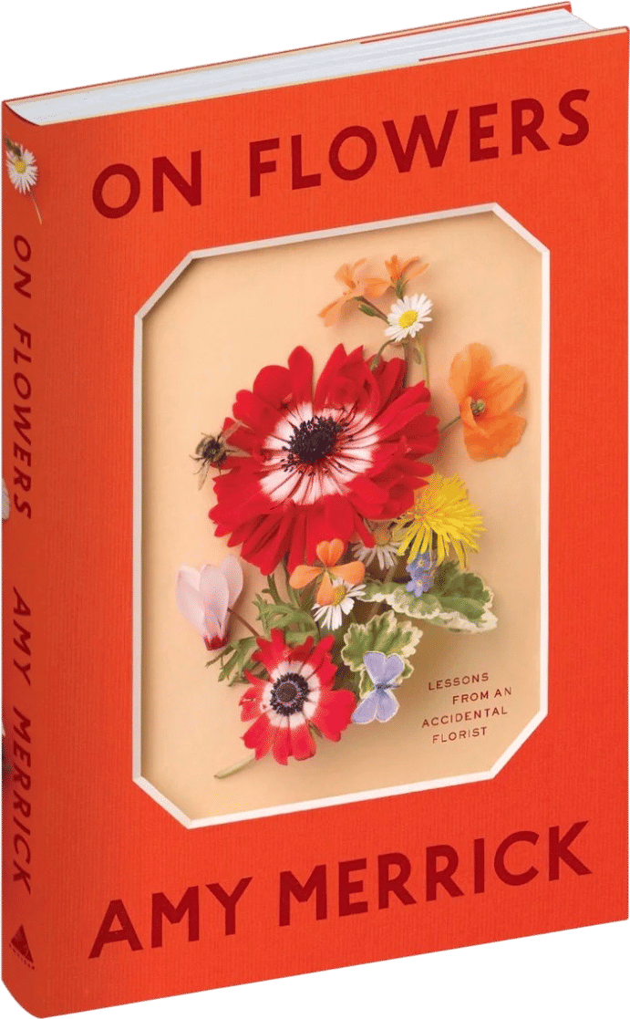 On Flowers by Amy Merrick