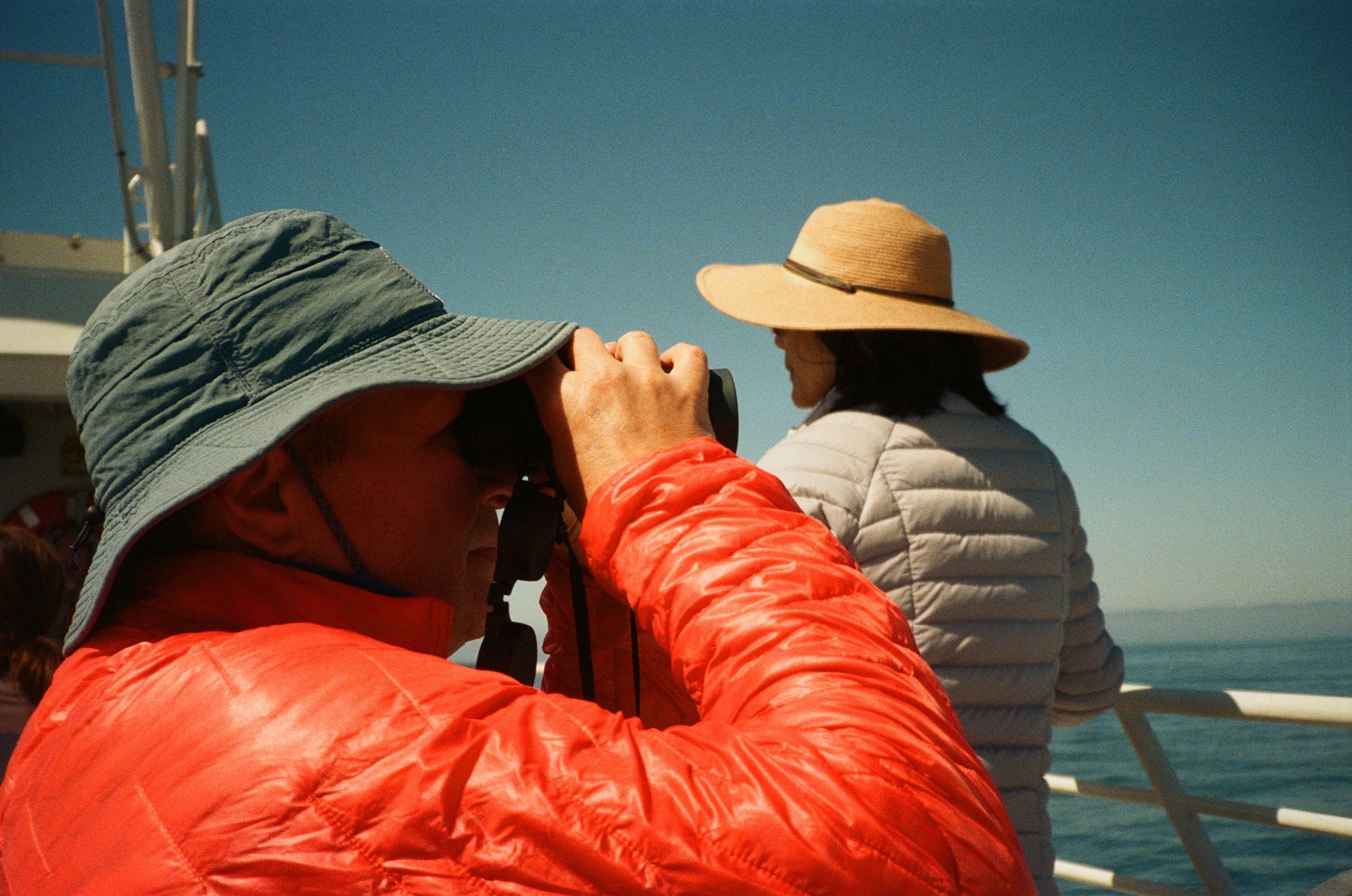 Whale Watching in Santa Barbara