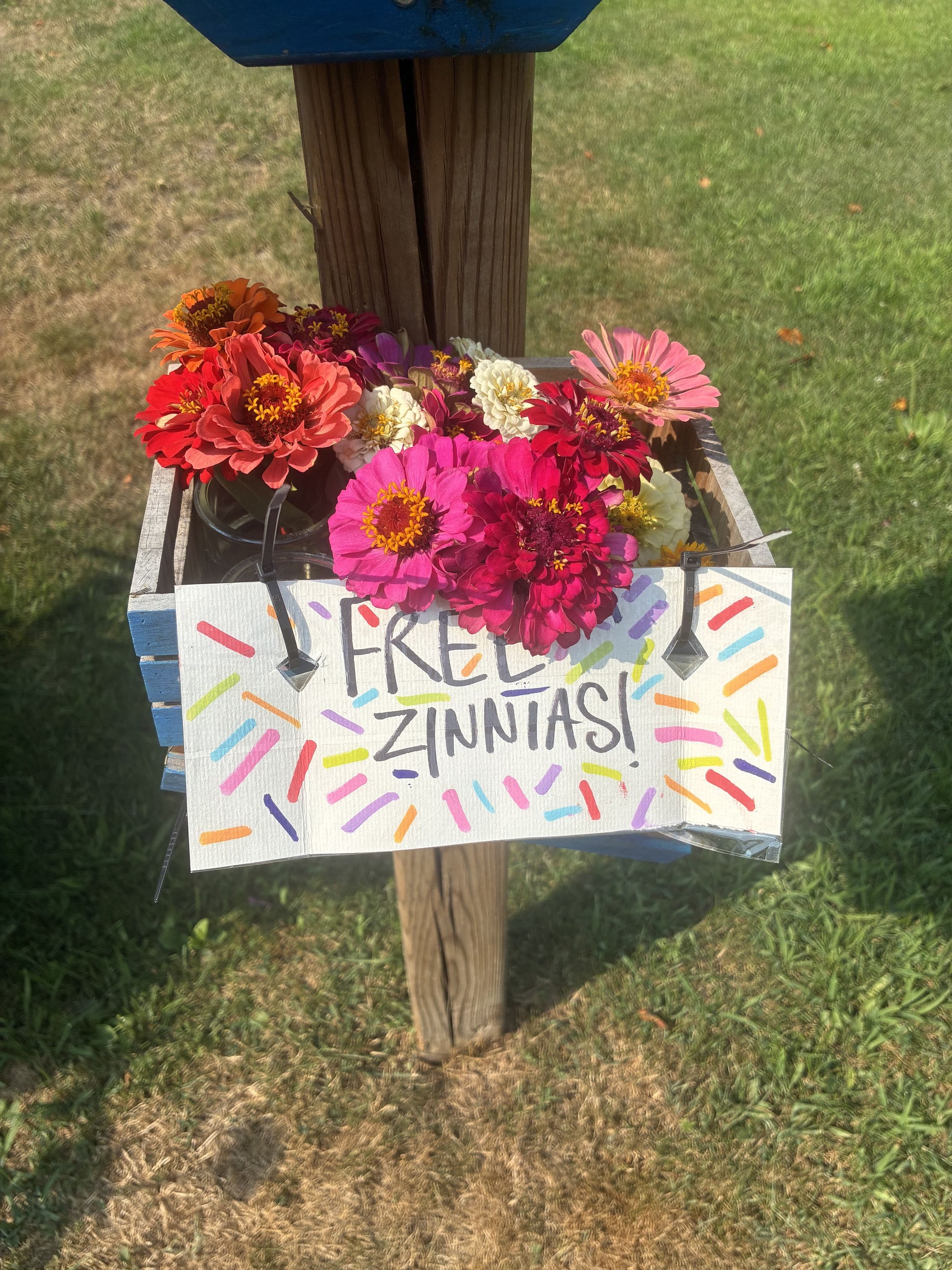 Lil free goodies