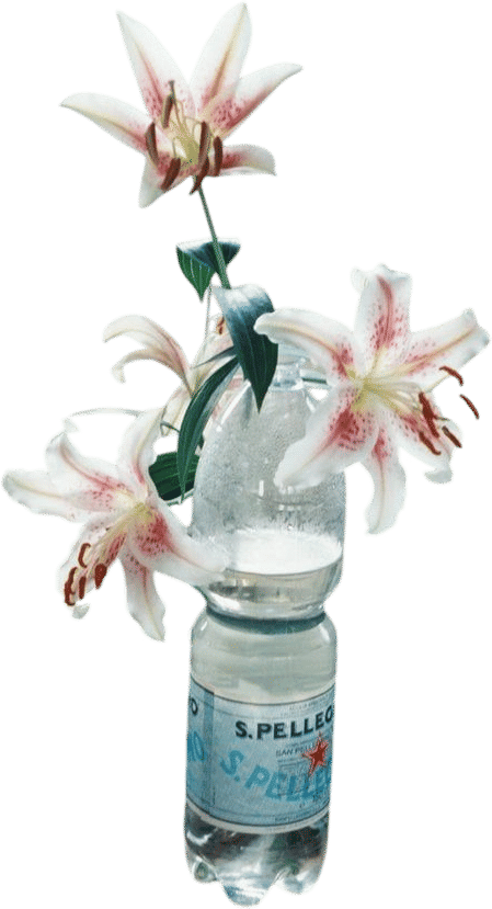 Perfection (Vincenzo Latronico)