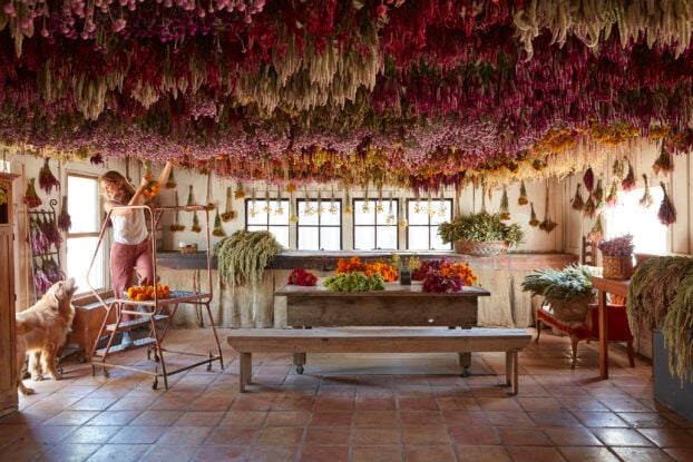 Designing With Dried Flowers by Hannah Muller