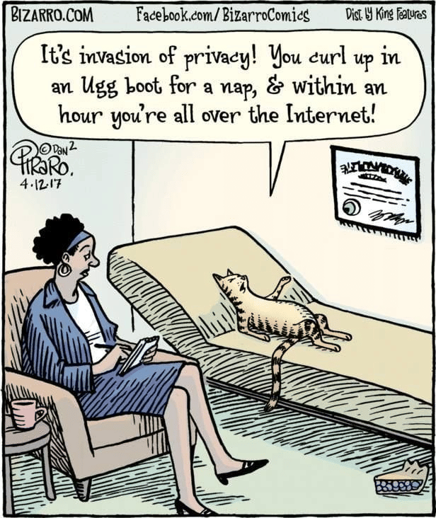 Invasion Of Privacy (Dan Piraro, Bizarro)