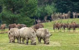 North Carolina Zoo