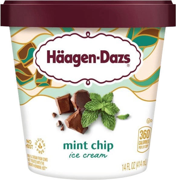 Haagen-Dazs Mint Chip Ice Cream