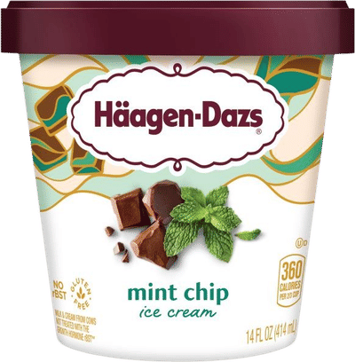 Mint Chip Ice Cream