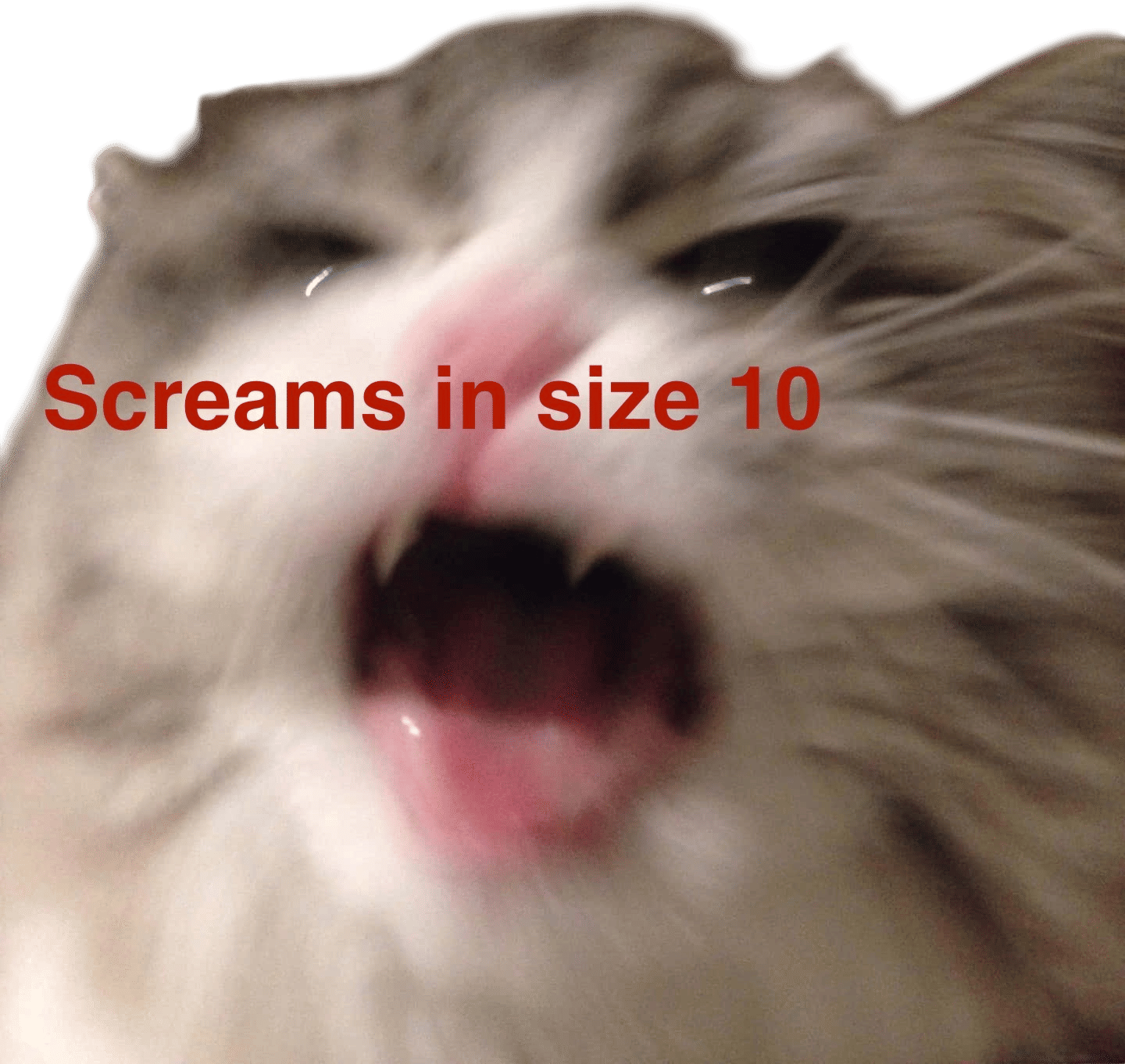 Not buying clothes online if they don’t have a model your size