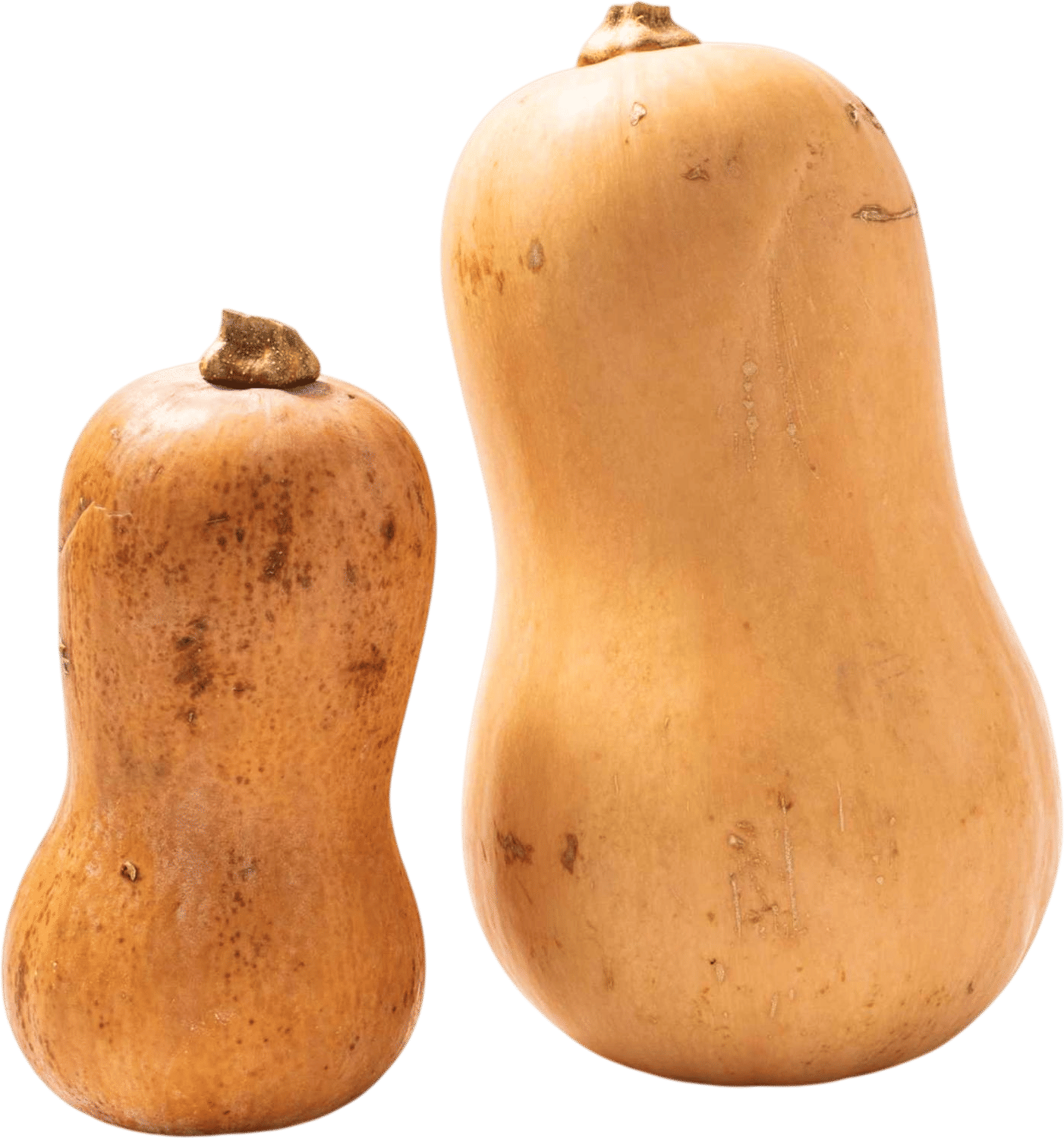 Honeynut Squash