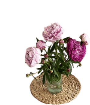 Birthday Flowers