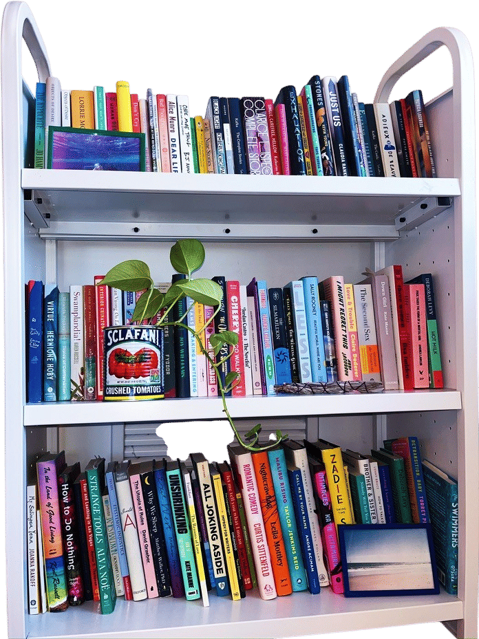 Using a library cart instead of a bookshelf