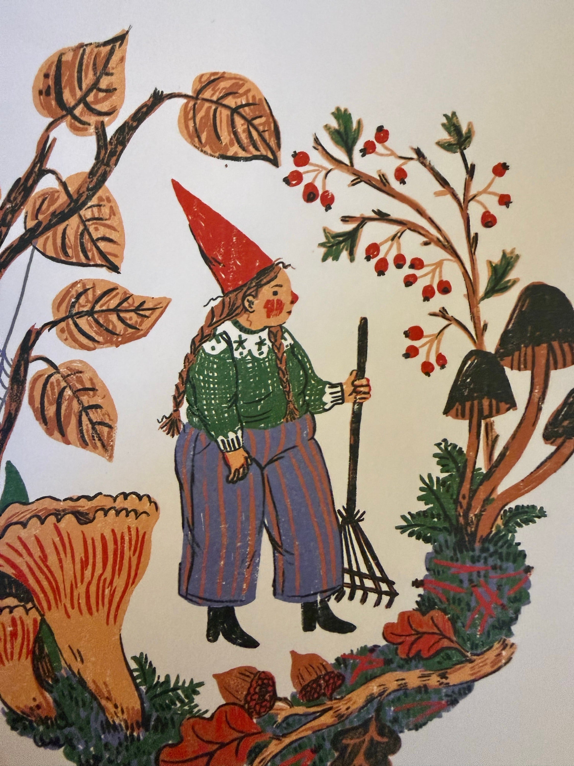 Little Witch Hazel