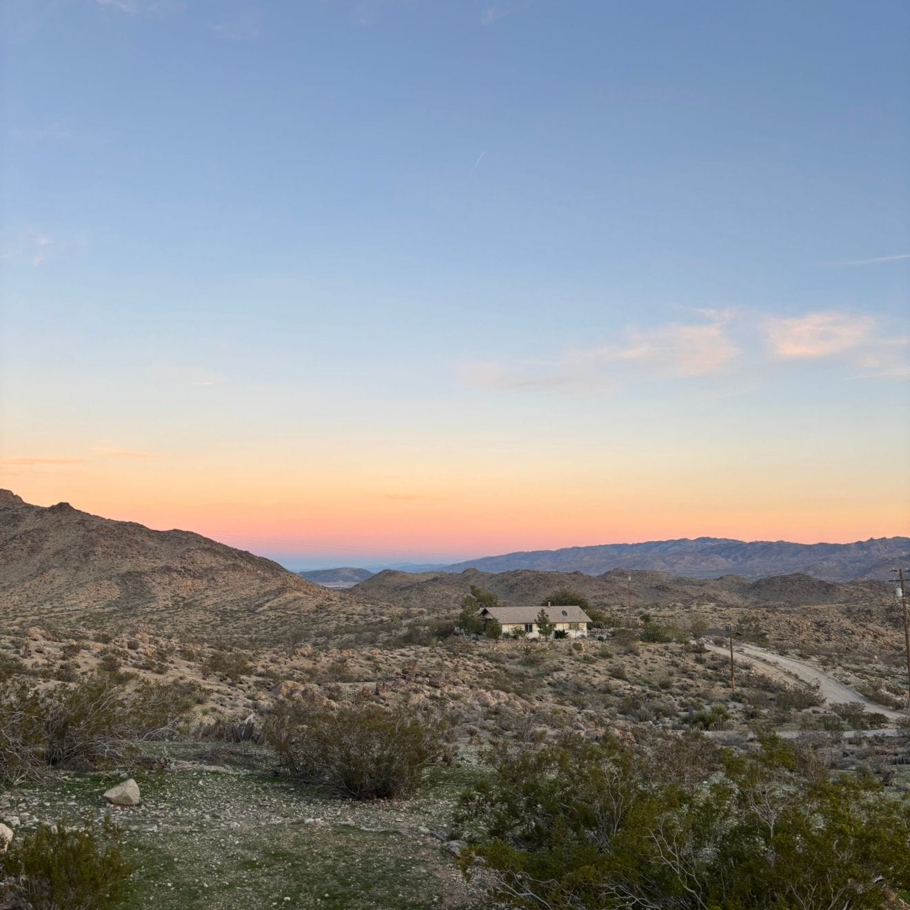 in and around joshua tree