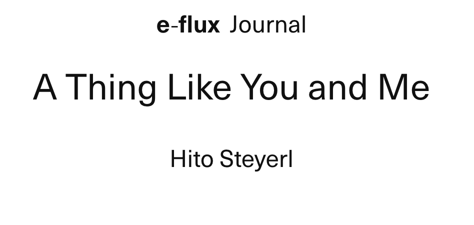 Hito Steyerl: A Thing Like You and Me