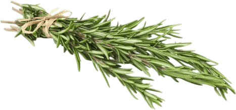 Rosemary Water Recipe
