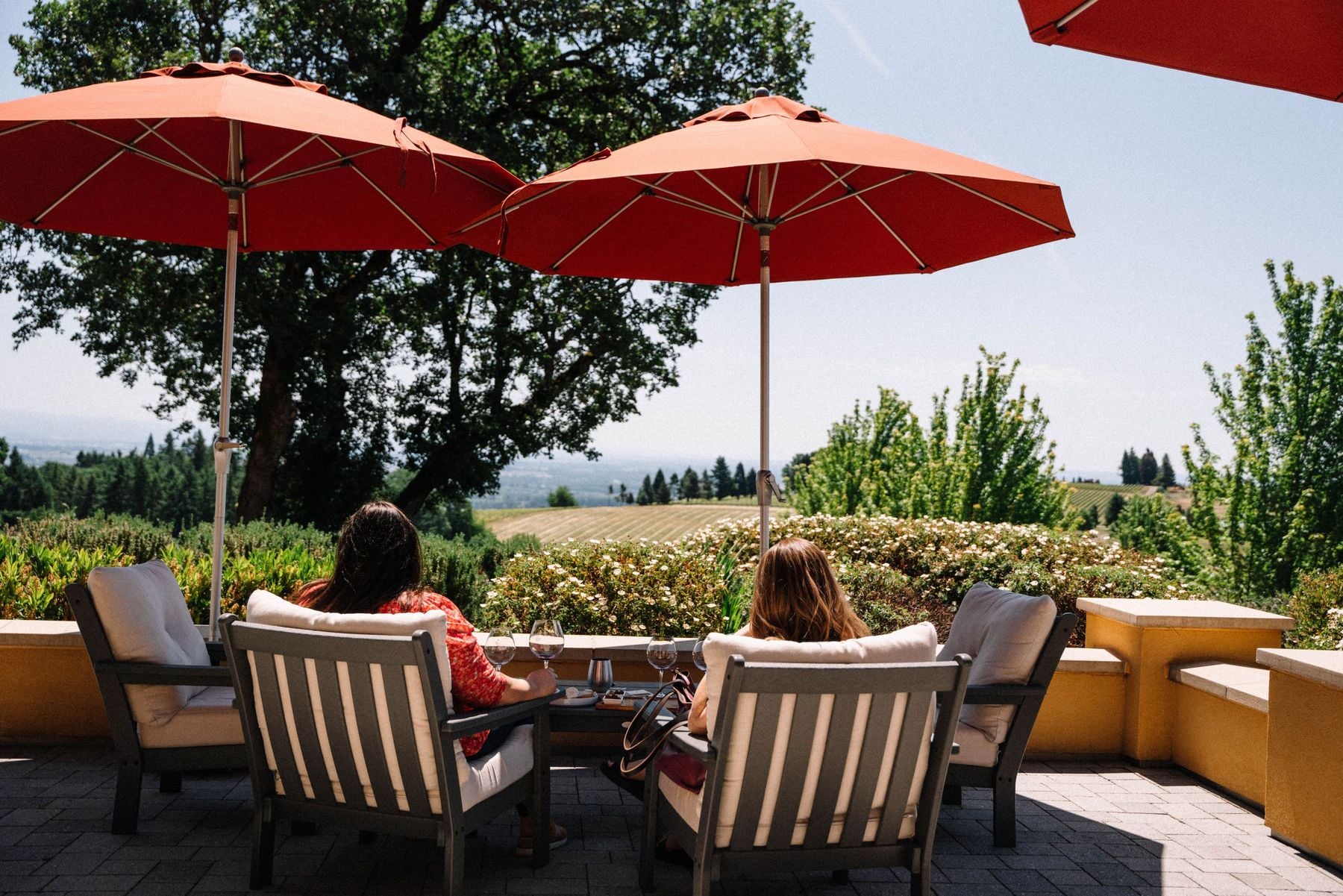 Domaine Serene