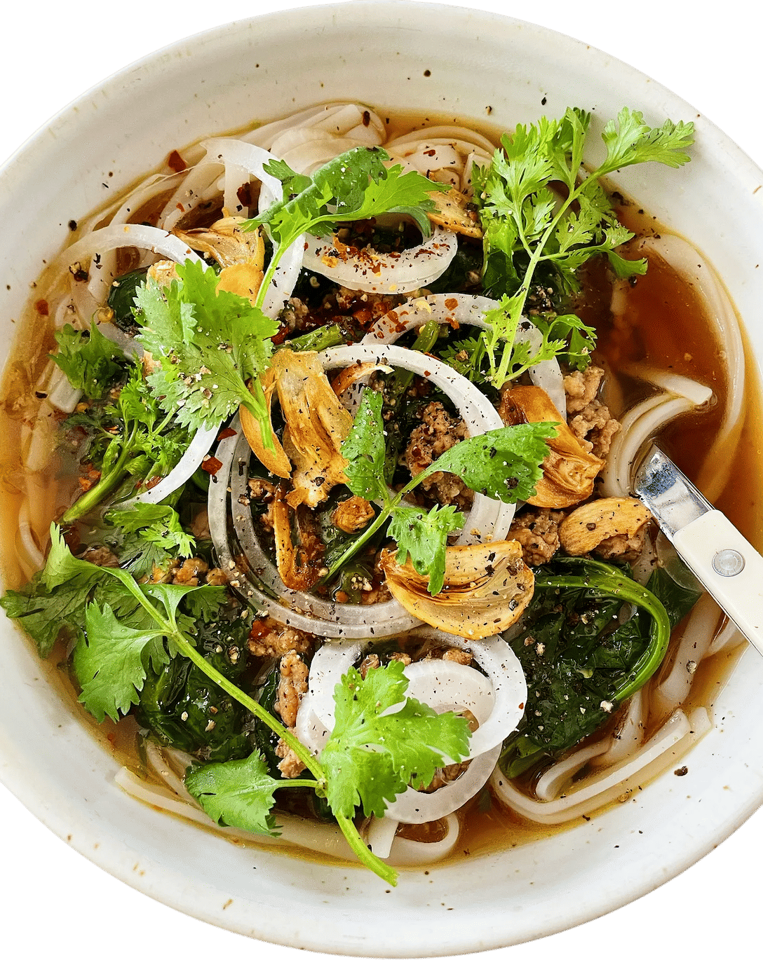 Spicy Pork Noodle Soup with Toasted Garlic Recipe
