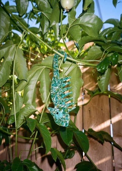 Comb + Chameleon