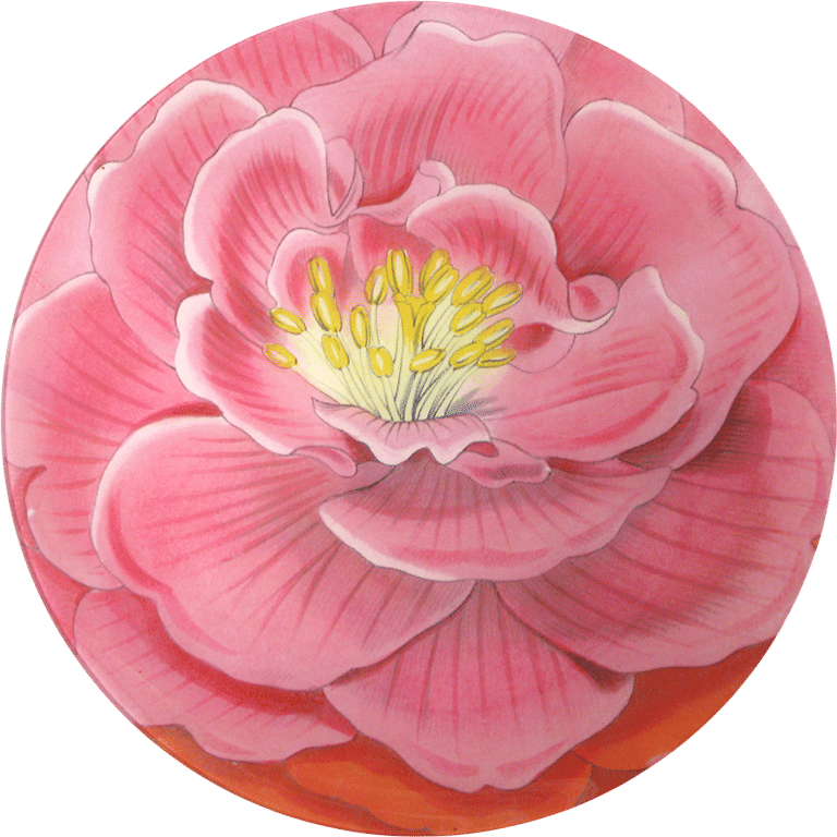 John Derian Pocket Mirror