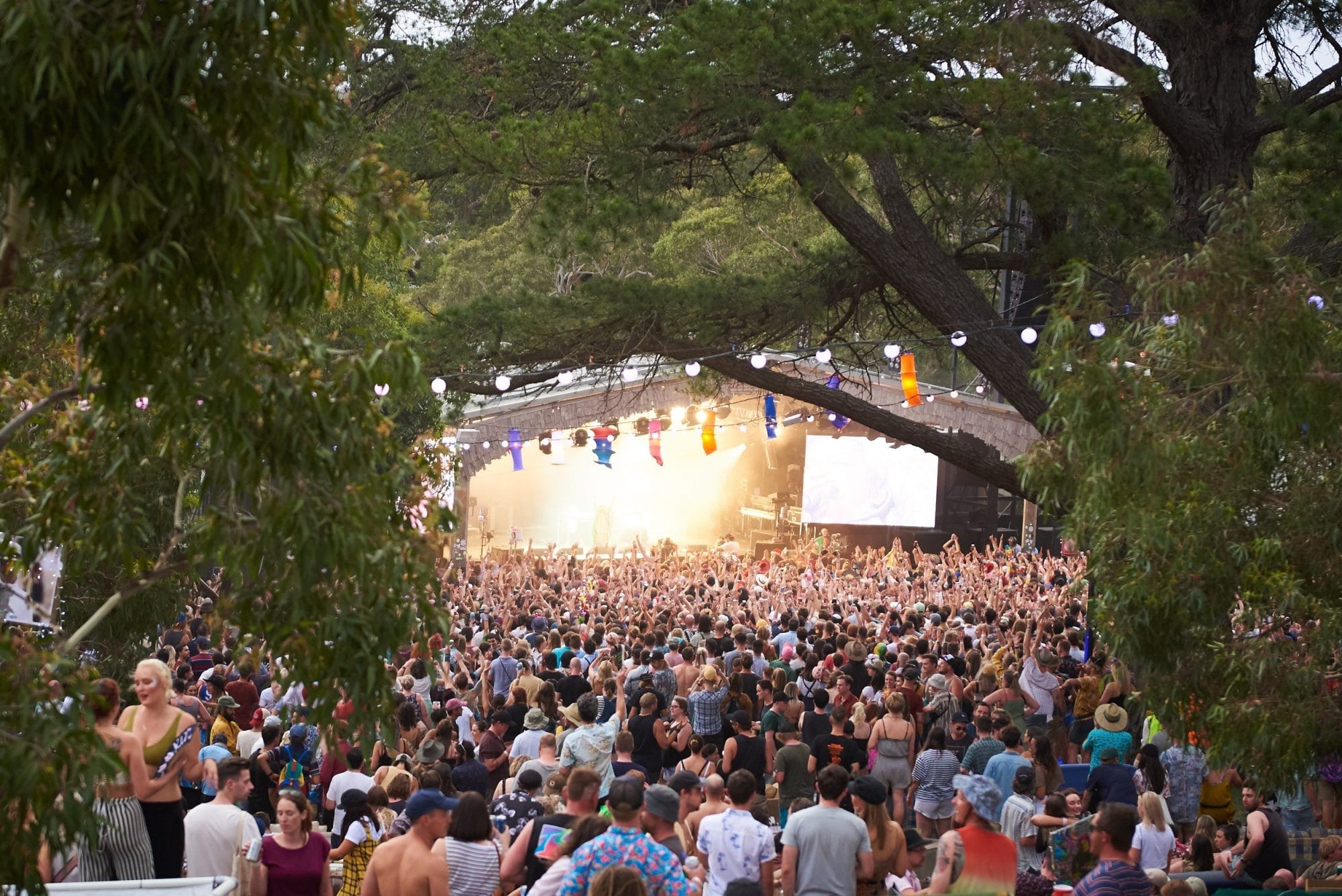 A Weekend In The Country - A History Of The Meredith Music Festival (2006)