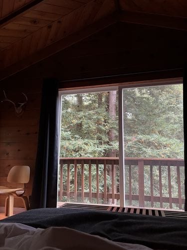 A cabin on the Russian River