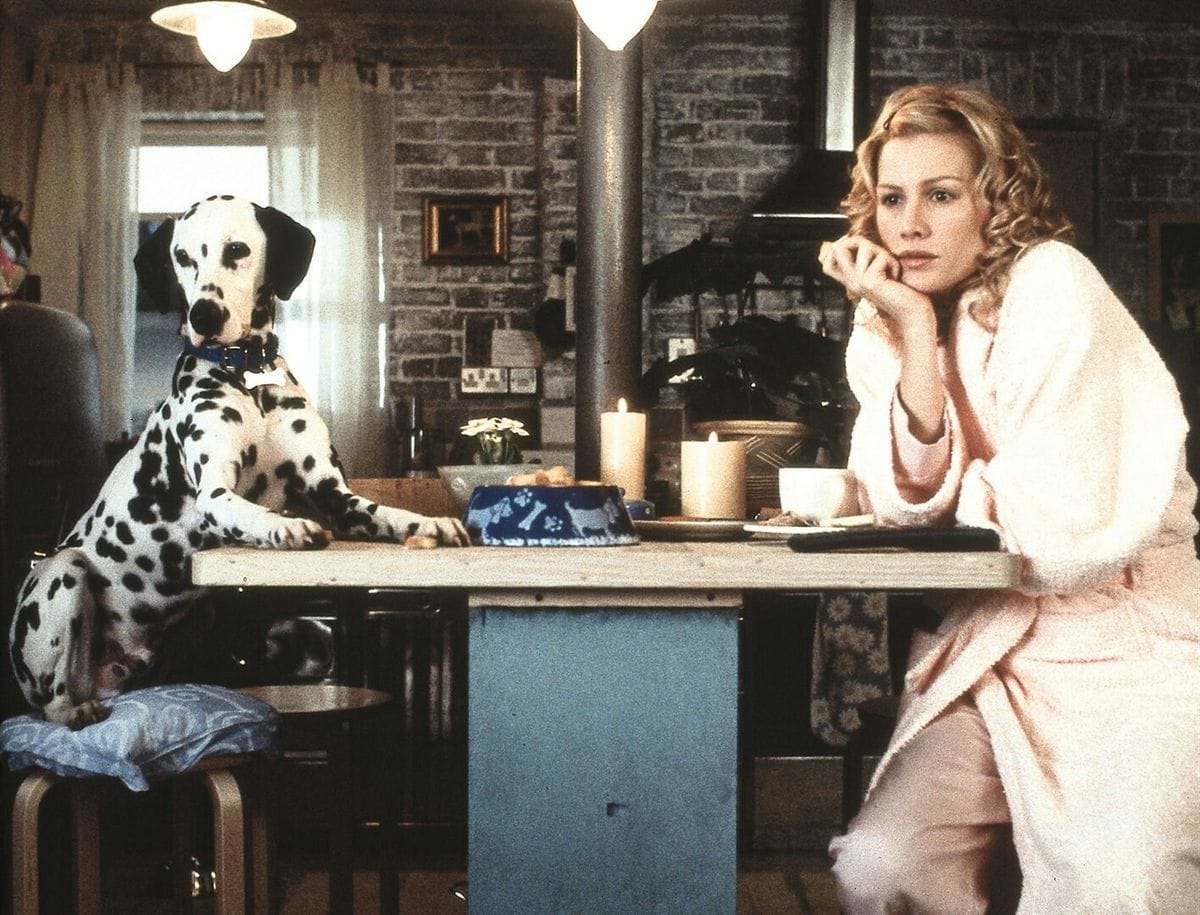 get a Dalmatian